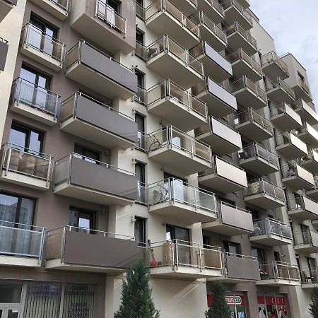 Mivardomi Accommodation Cluj-Napoca Eksteriør bilde